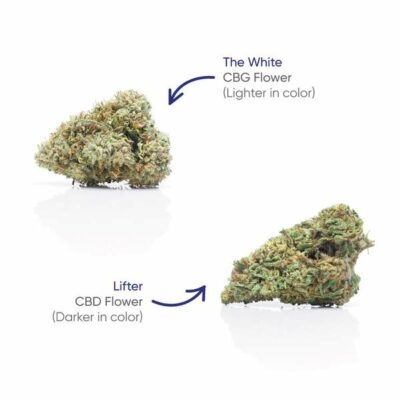 CBG+CBD Lifter Flower