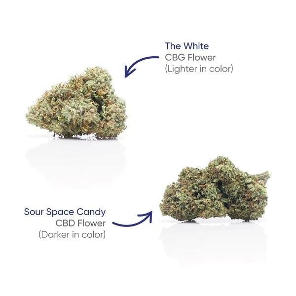 CBG+CBD Sour Space Candy Flower