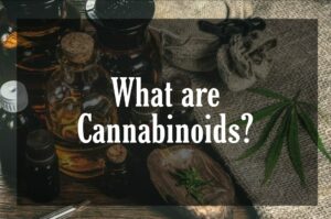 What are Cannabinoids?