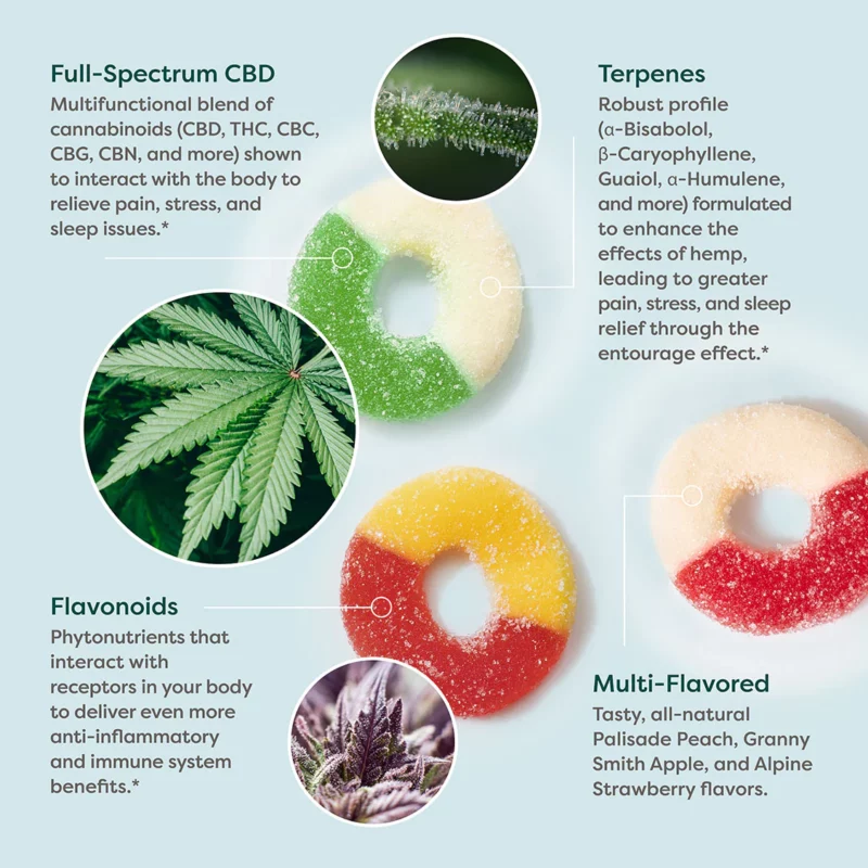R&R CBD Gummies - Full Spectrum - Infographic