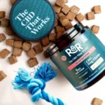 R&R Broad Spectrum CBD Dog Chews 60ct Jar - Zero THC