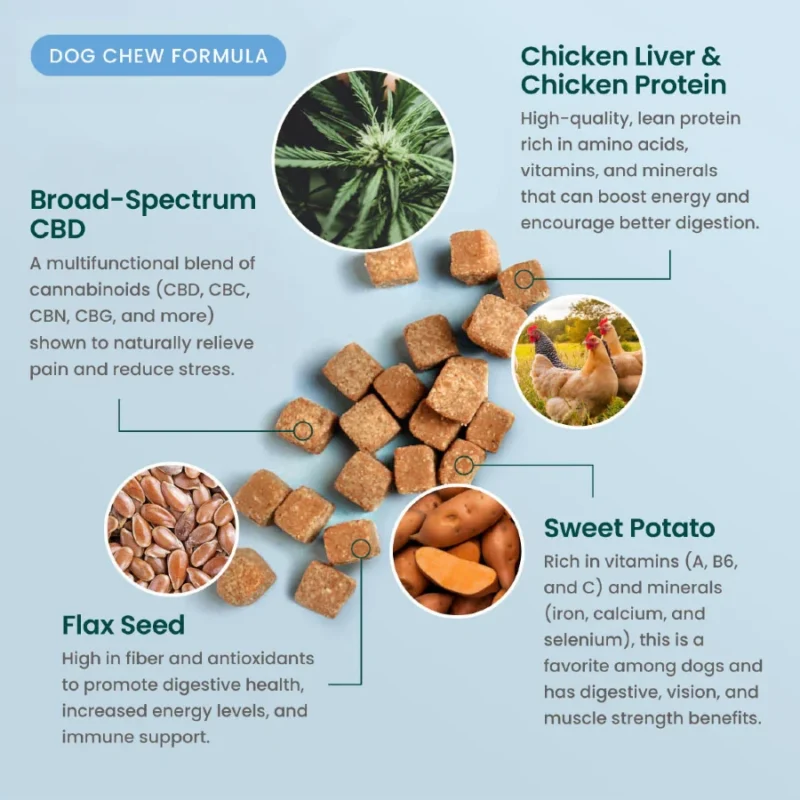 R&R CBD Dog Chew Formula Infographic