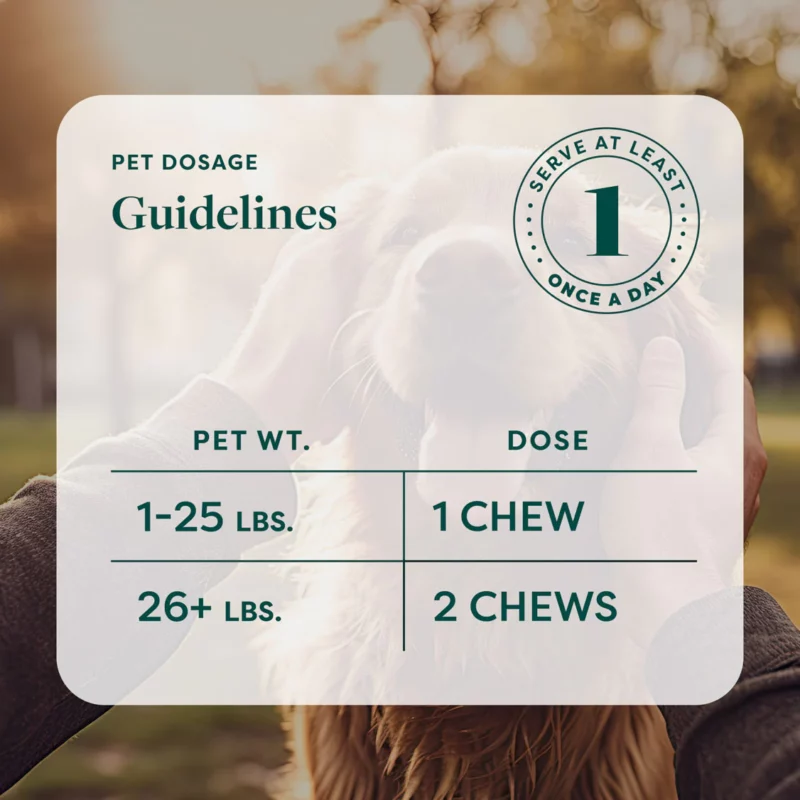 R&R CBD Dog Chews - Serving Guidelines