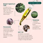 USDA Organic Pet CBD Oil Tincture by R&R CBD - Tincture Formula Infographic