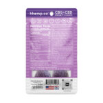 HH CBD and CBG Immunity Gummies - 25mg Mixed Berry - 2 Pack Photo of Back of Bag