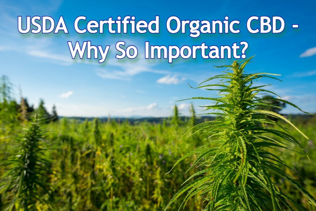 USDA Certified Organic CBD - Why So Important - Main CBD Blog Post Image