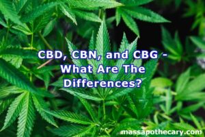 CBD, CBN, and CBG - What Are The Differences - The Mass Apothecary CBD Store (1)