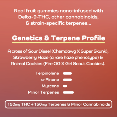 Sour Strawberry Cookies CBD and THC Gummies - Photo of Infographic