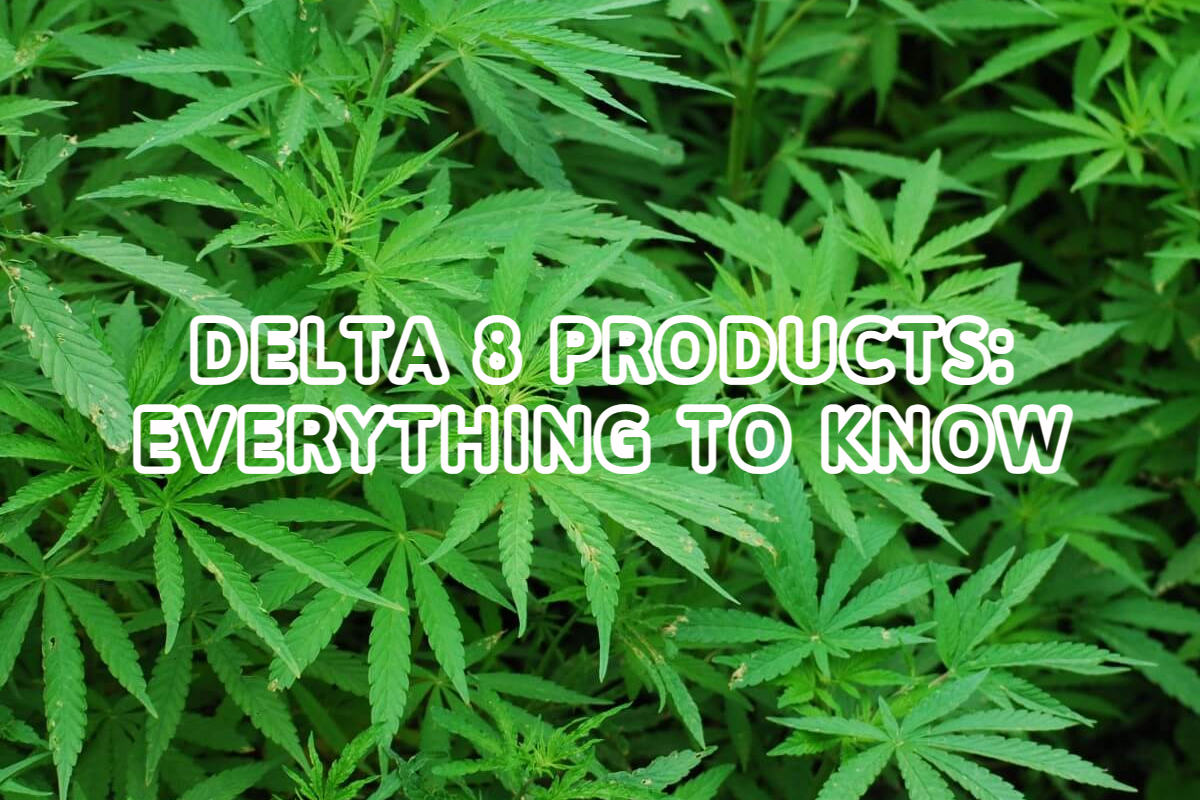 Delta 8 Products: Everything To Know