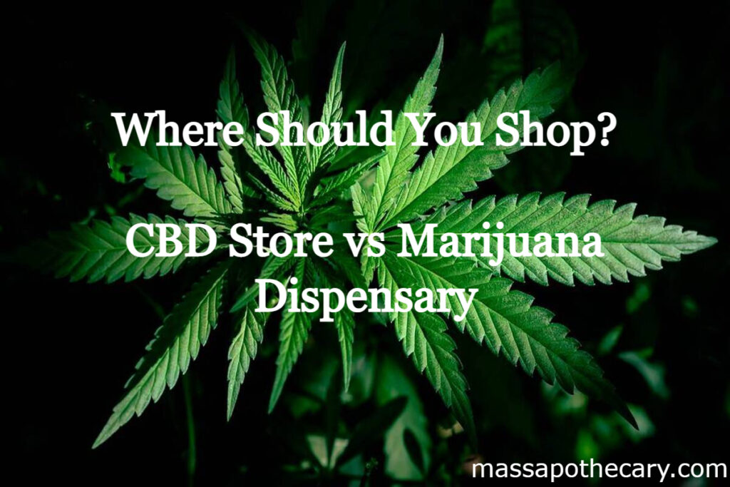 Where Should You Shop? Marijuana Dispensary vs CBD Store – Everything You Need To Know