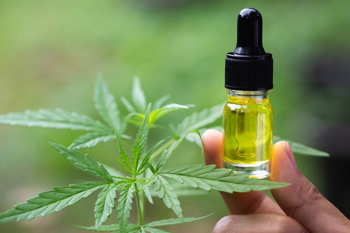 All You Need to Know about How to Store CBD Oil Properly - Hand Holding A CBD Oil Tincture