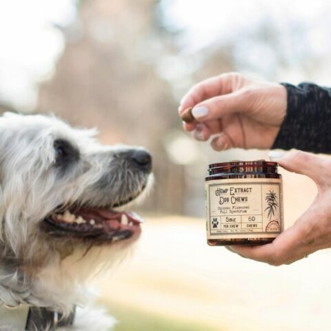 Nighttime CBD Gummies To Sleep Better Indiva's New Release