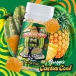 Hixotic The Jeffrey THC Gummies - Pineapple Cactus Cool Decorative Photo