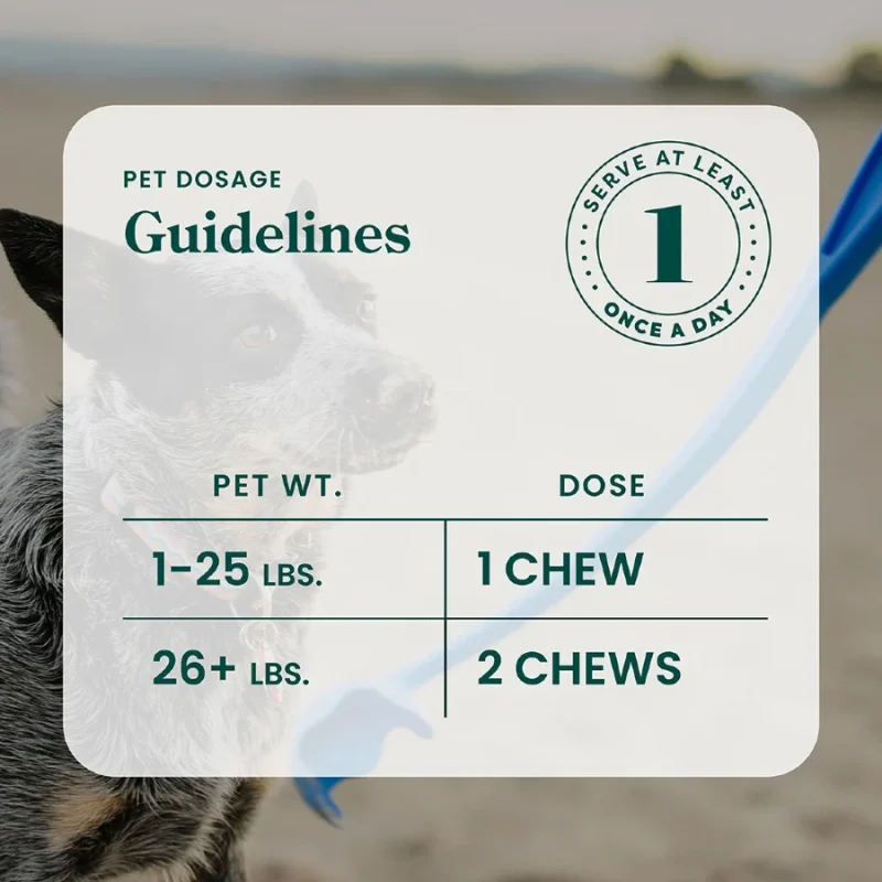 R&R CBD Mobility Dog Chews - Pet Dosage Guidelines