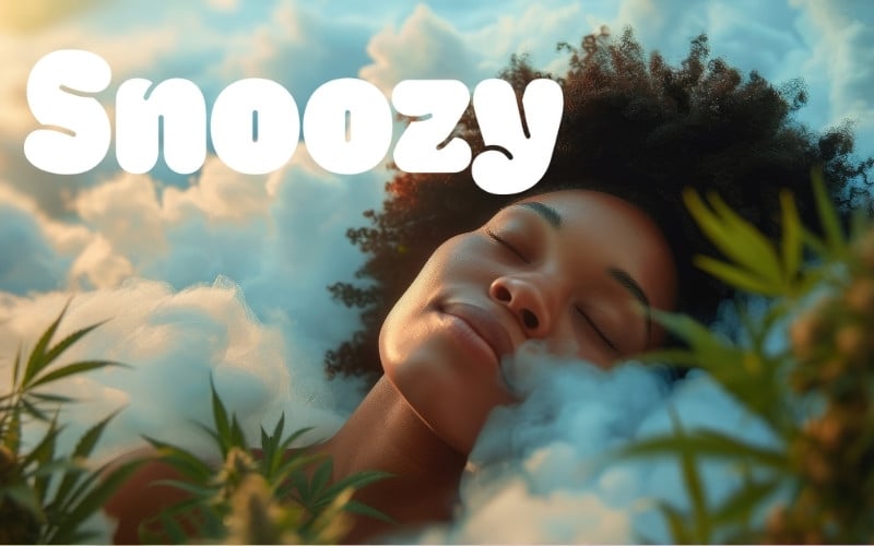 all about snoozy gummies