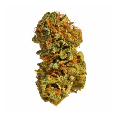 Northern Lights THCa Flower - Indica - Close Up of Bud