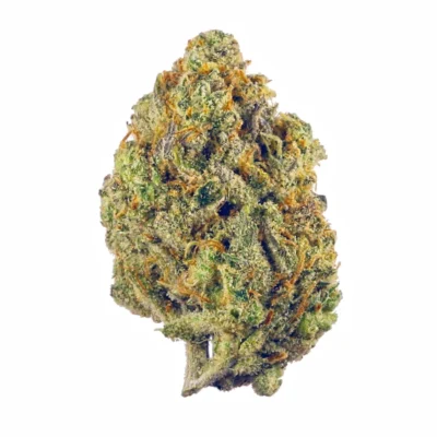 Haze THCa Flower - Sativa - Close Up Of Bud