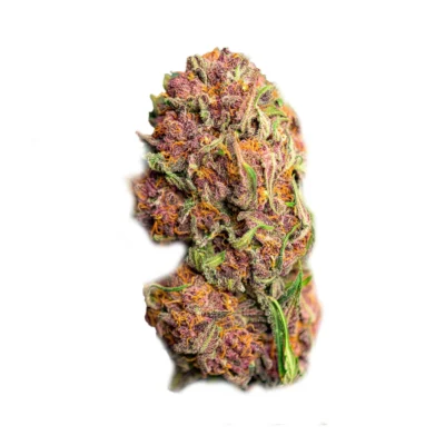 Mimosa THCa Flower - Hybrid - Close Up of Bud