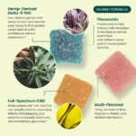 R&R CBD and THC Gummies Infographic