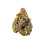 Stardawg THCa Flower - Sativa