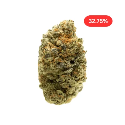 Stardawg THCa Flower - Sativa - Premium THC Flower Over 30% THCa