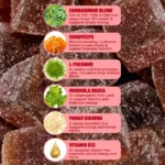 Snoozy Energy Delta 9 THC Gummies with CBD+CBG - Ingredient Info + Descriptions