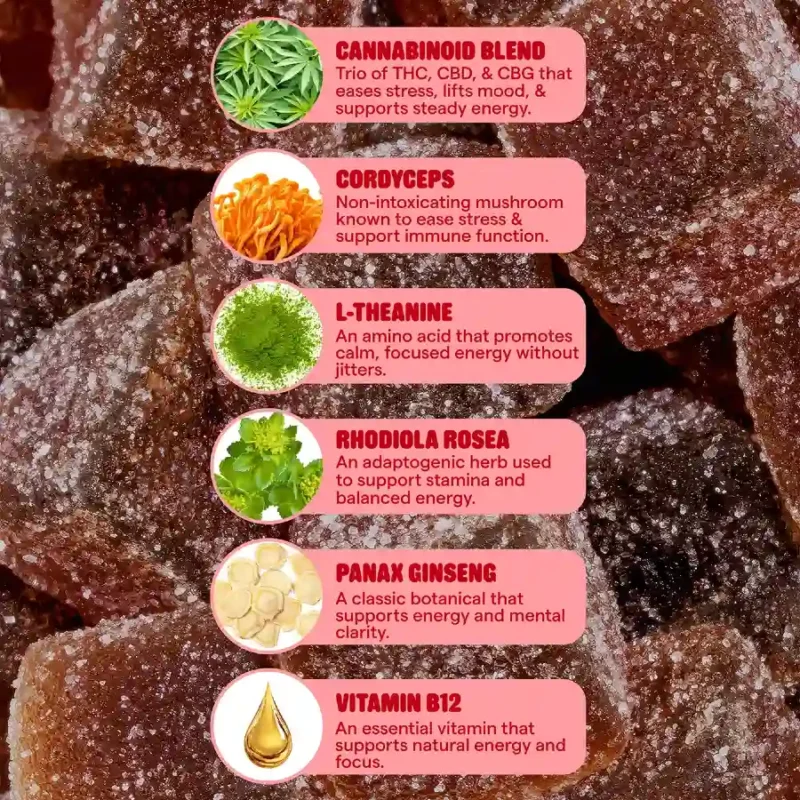 Snoozy Energy Delta 9 THC Gummies with CBD+CBG - Ingredient Info + Descriptions