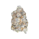 Benny Blanco THCa Flower - Sativa