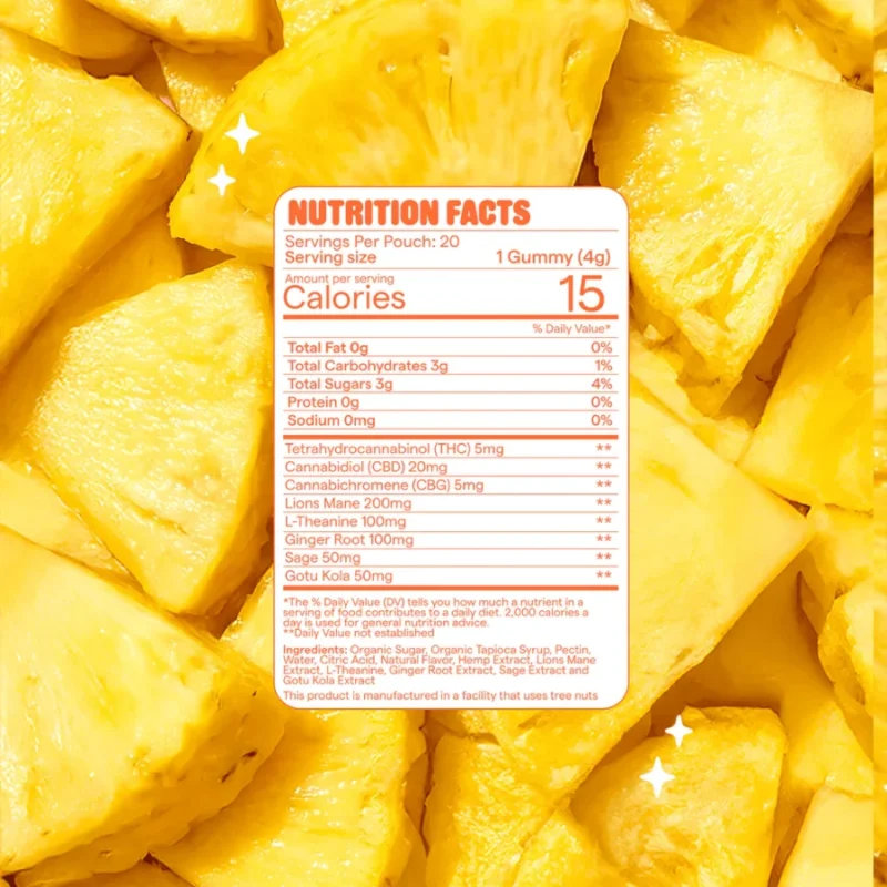 Snoozy Focus Delta 9 THC Gummies with CBD+CBG - Nutrition Facts Label