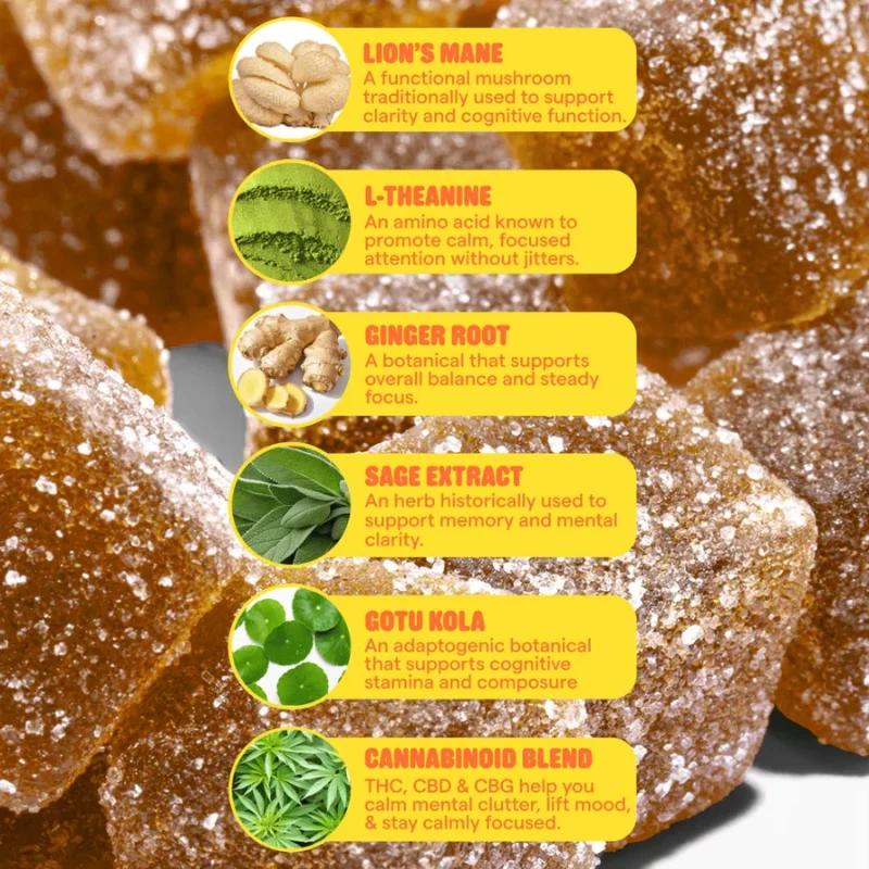 Snoozy Highly in Focus D9 Gummies - Ingredient Info + Descriptions