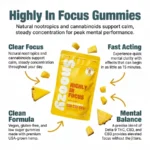 Snoozy Highly in Focus THC Gummies with CBD+CBG - Infographic