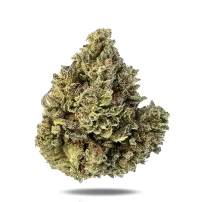 Blizzard Wizard THCa Flower - Indica